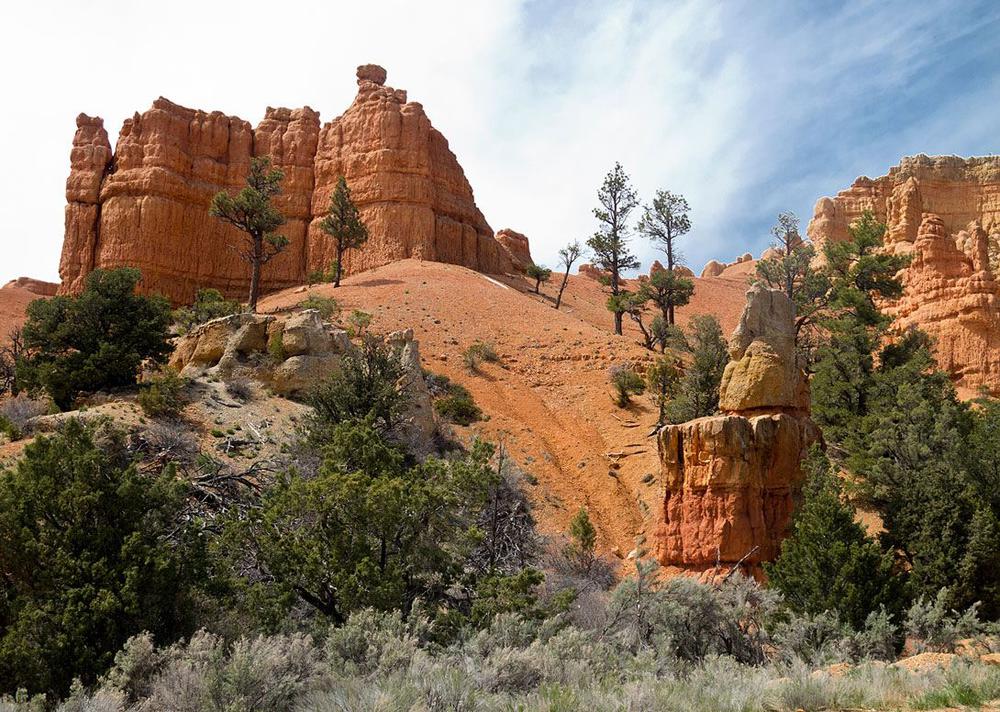 Zion-Naational-Park.jpg