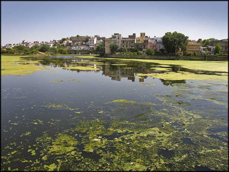 Udaipur. India (Aure)