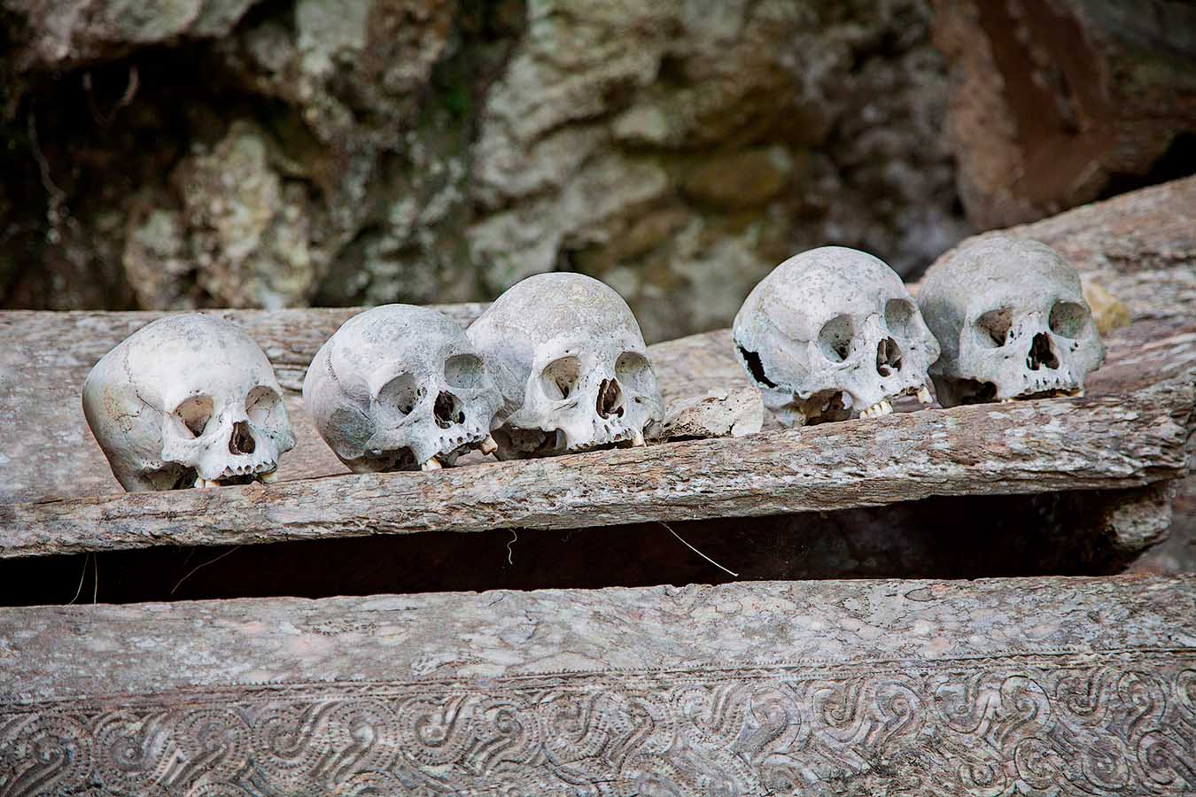 Cándido Barco. Tana Toraja