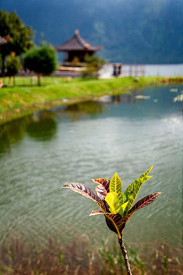 Cándido Barco. Bali