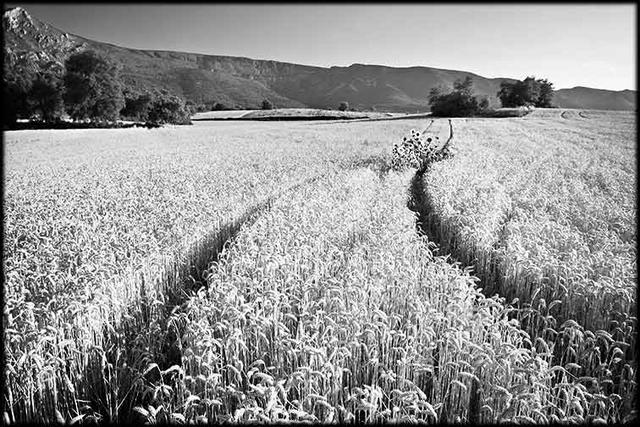 03. Valle de Tobalina (Aure)