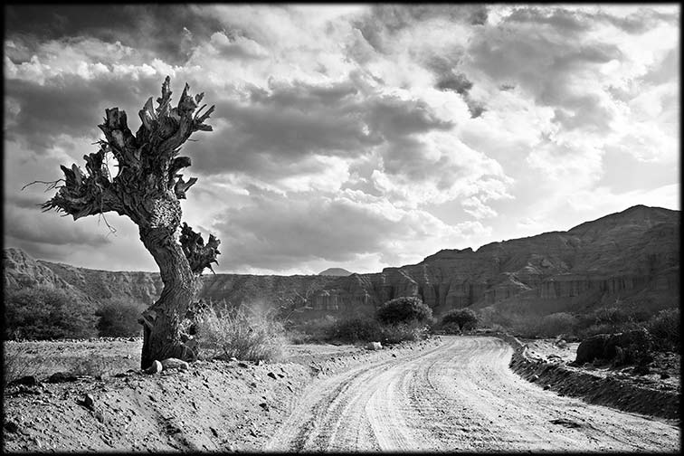 10. Salta - Argentina (Aure)