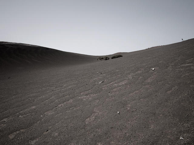 Caminante no hay camino - Javi