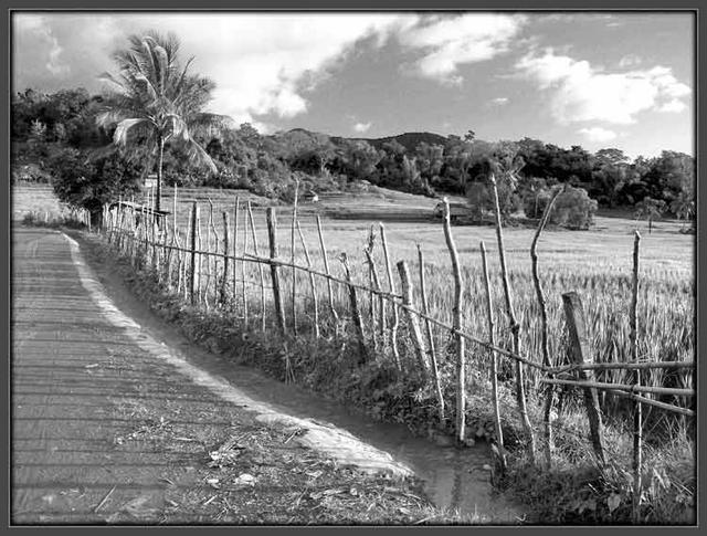 Candi. Caminos 1