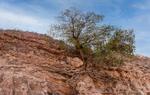 Jordania-2022-0467-Pano-HDR-copia.jpg