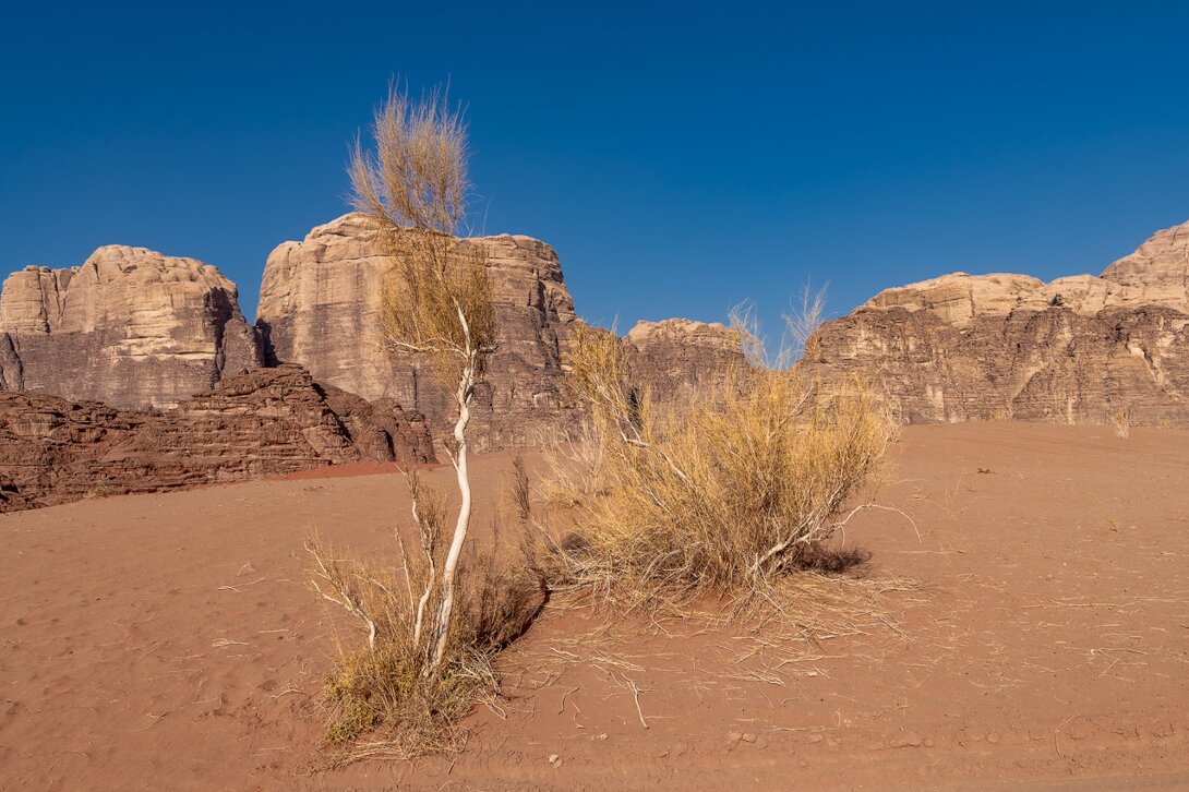 Jordania-2022-1232-HDR-copia.jpg