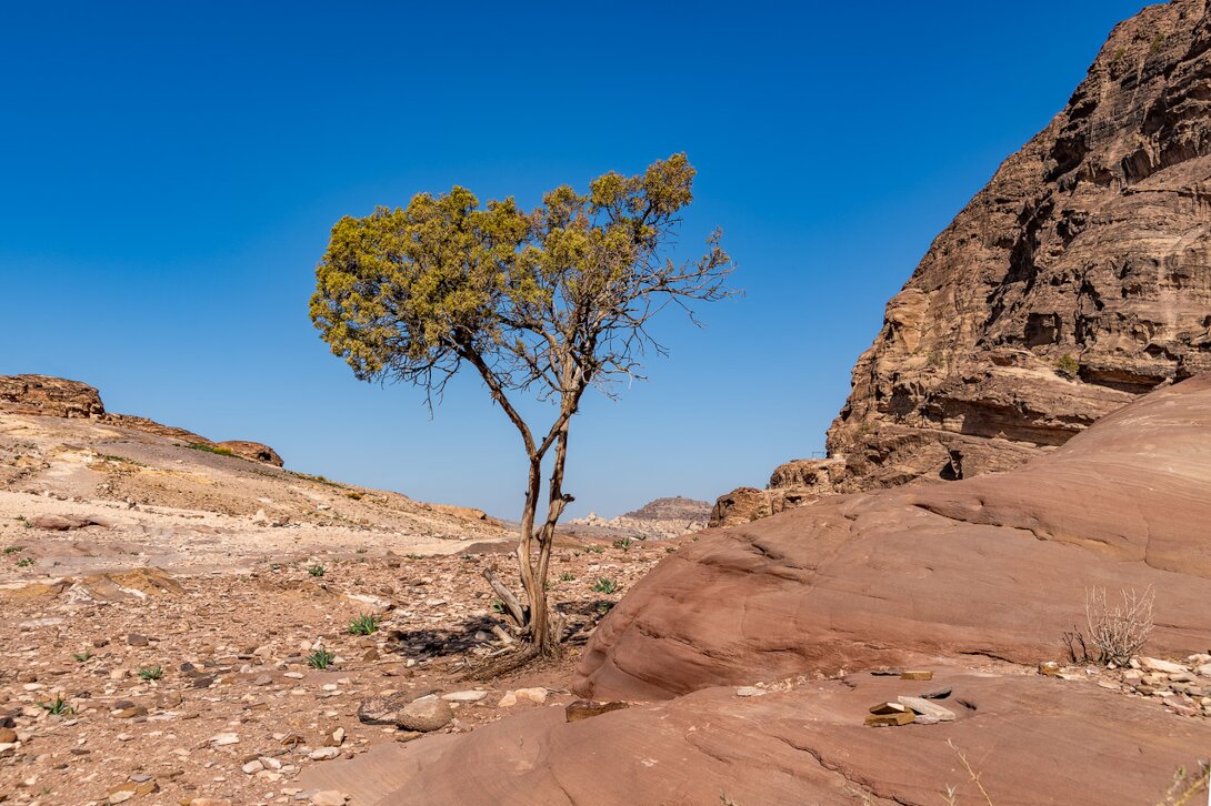 Jordania-2022-1868-HDR-copia.jpg