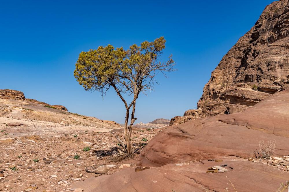 Jordania-2022-1868-HDR-copia.jpg