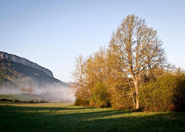 Prado niebla