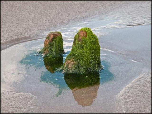 Cándido Barco. Verde 2