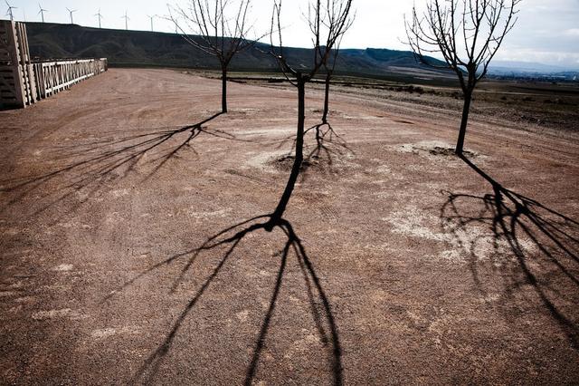 Bardenas5