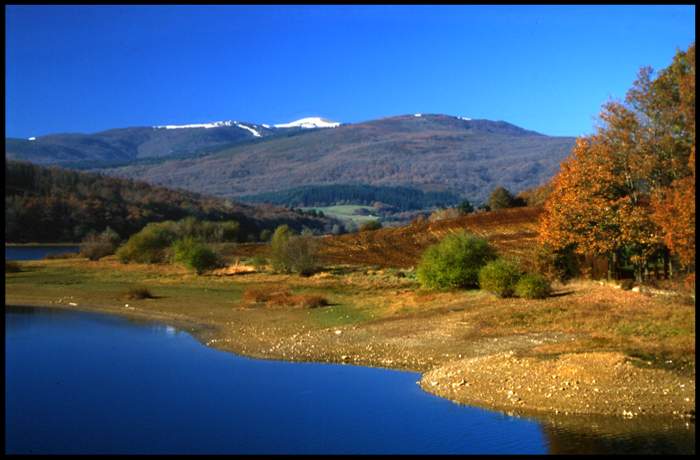 GORBEA