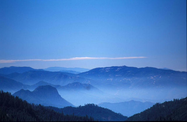 Yosemite N. P.