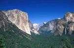 Yosemite N. P.