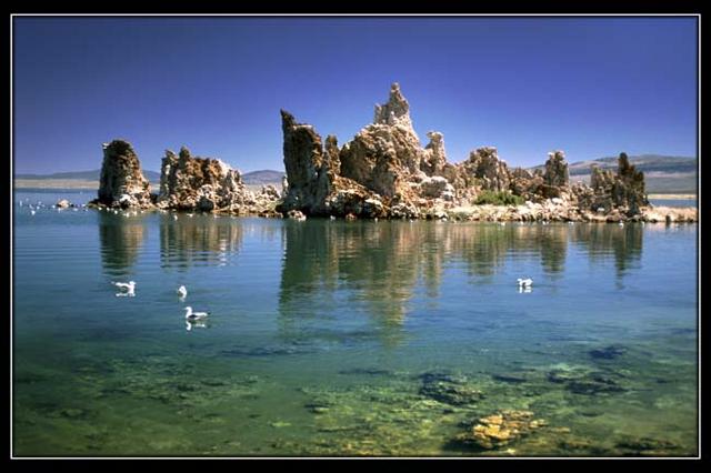 Candi. Lago Mono. EE.UU.