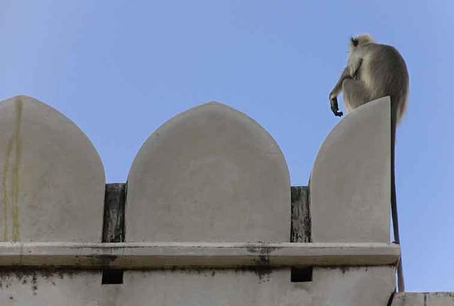 Udaipur (Aure)