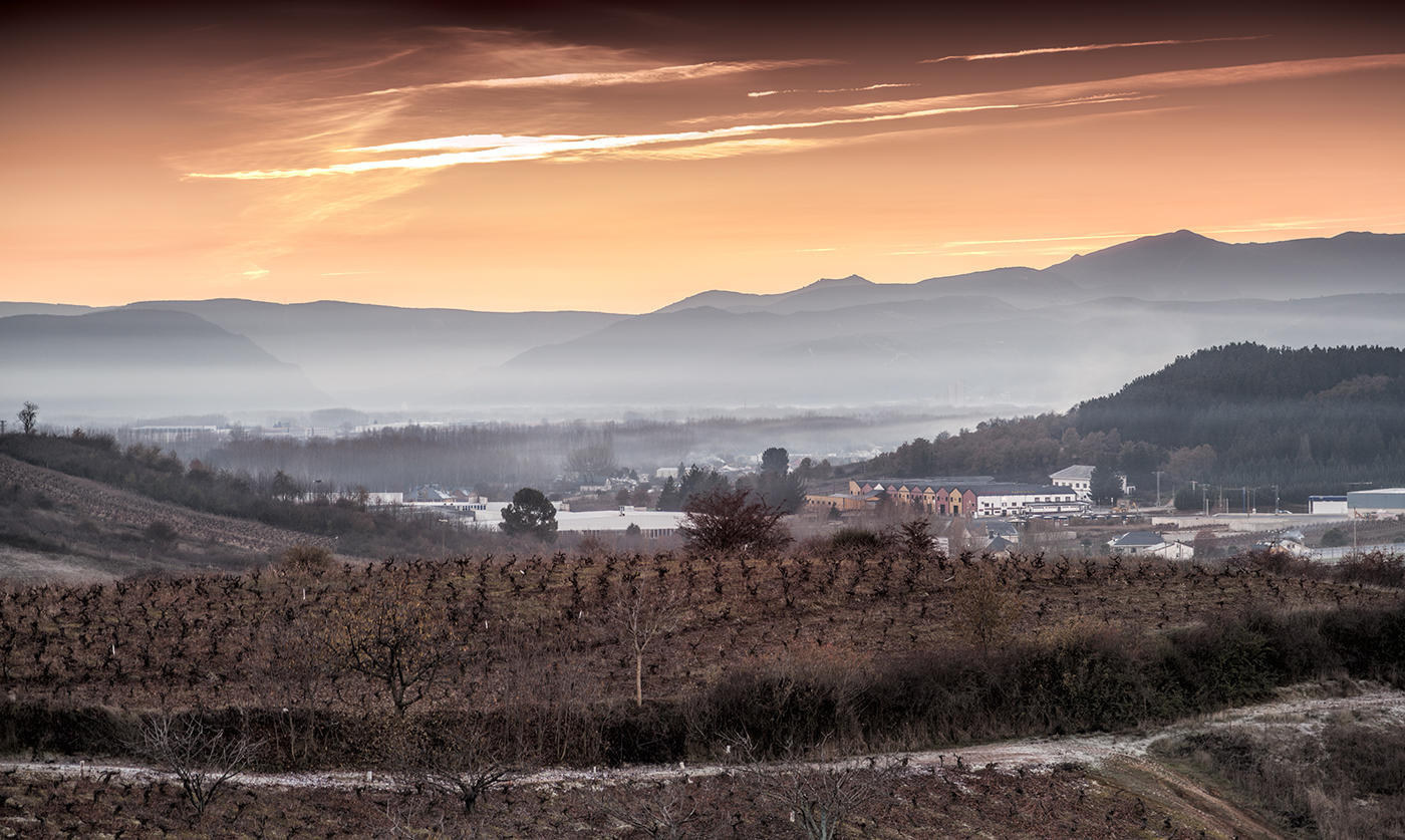 atardecercogolla