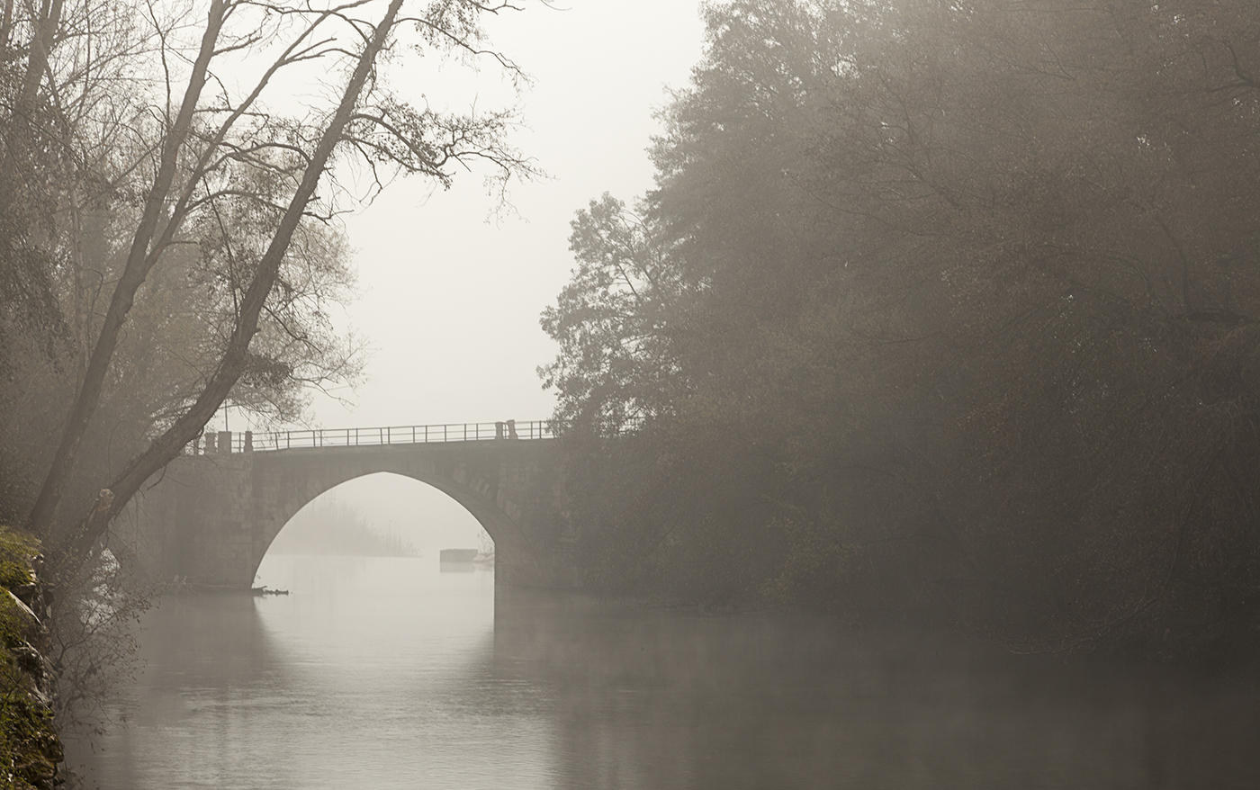 Puente Cacabelos niebla