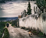 El camino junto al cementerio