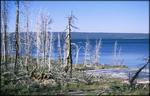 Cándido Barco - Yellowstone N. P. Wyoming