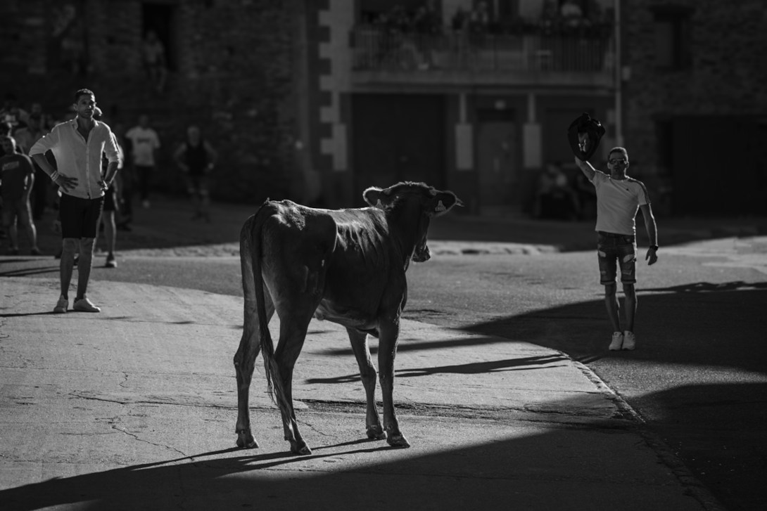 Fotos de Javier Fagundez